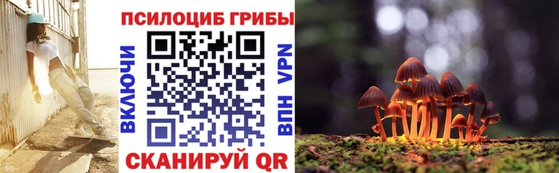закладки  Ликино-Дулёво  Псилоцибиновые грибы Cubensis 
